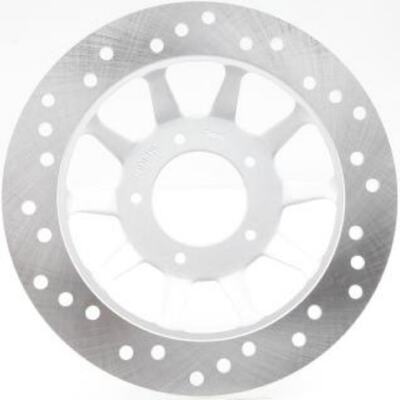 Cast Iron Rust Proof Motorcycle Front Disc Brake Rotor High Strength