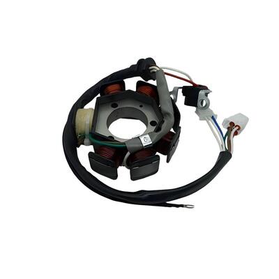 YBR125 Motorcycle Magneto Coil Assembly Power Generation Ignition Dual Function Unit